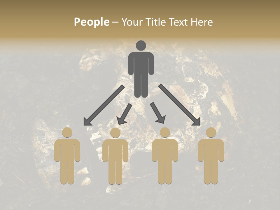 Skeleton Old Soil PowerPoint Template