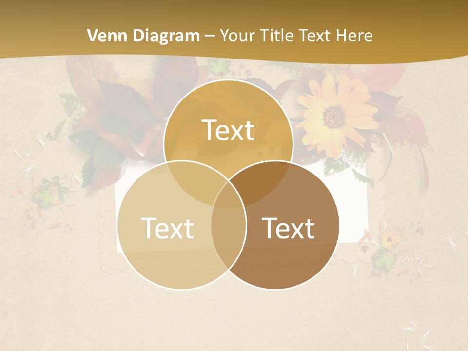 Empty Damaged Historic PowerPoint Template