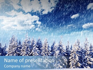 Outdoor Wood Sunshine PowerPoint Template