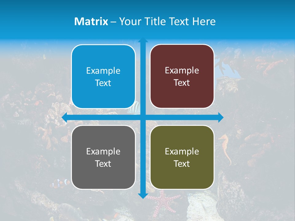 Fish Spices Algae PowerPoint Template