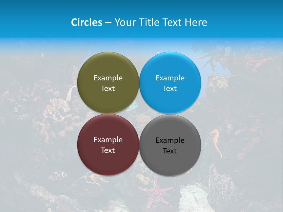 Fish Spices Algae PowerPoint Template