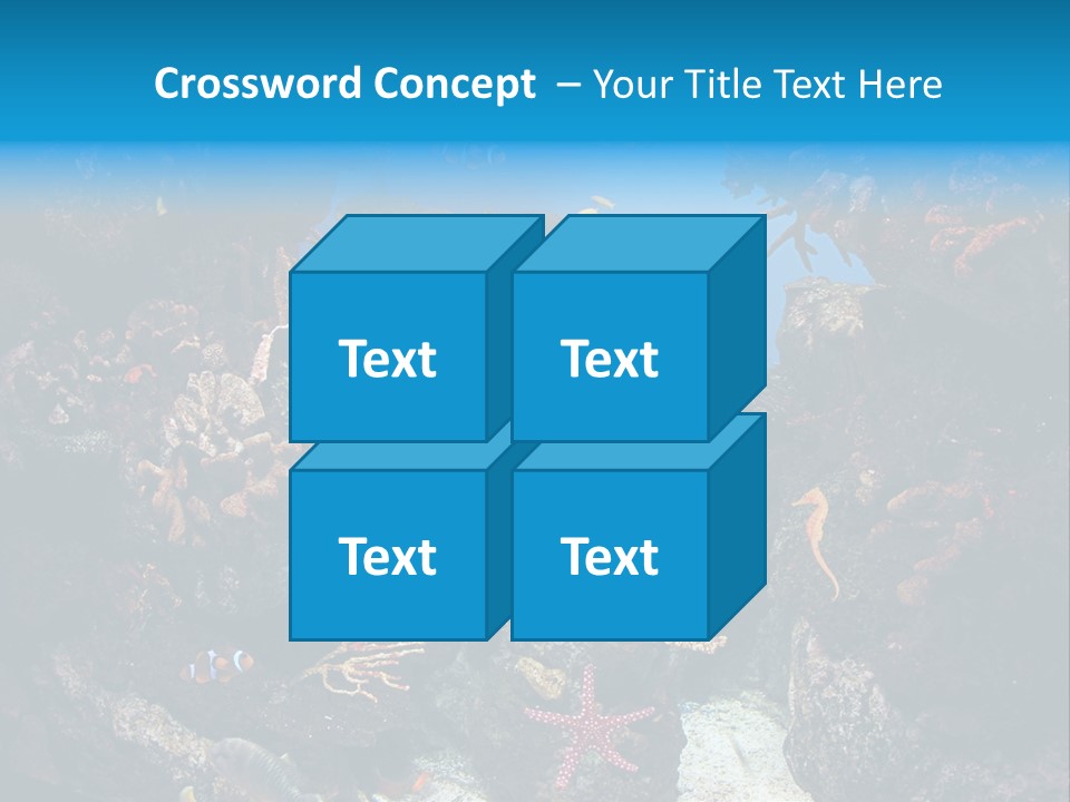 Fish Spices Algae PowerPoint Template