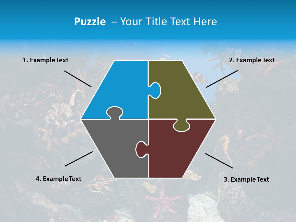 Fish Spices Algae PowerPoint Template