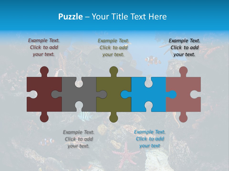 Fish Spices Algae PowerPoint Template