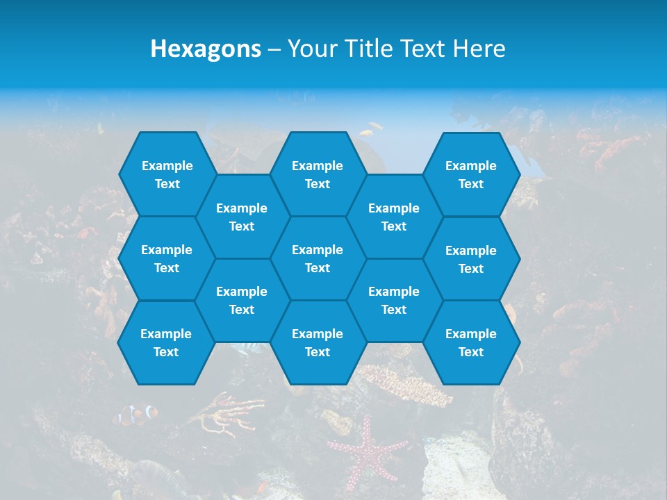 Fish Spices Algae PowerPoint Template