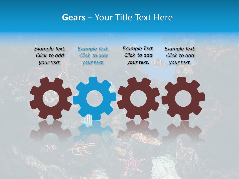 Fish Spices Algae PowerPoint Template