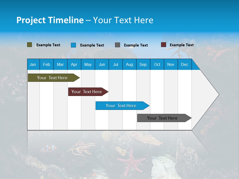 Fish Spices Algae PowerPoint Template