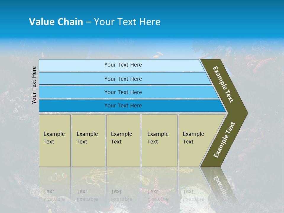Fish Spices Algae PowerPoint Template