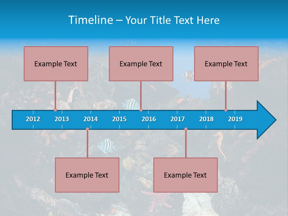 Fish Spices Algae PowerPoint Template
