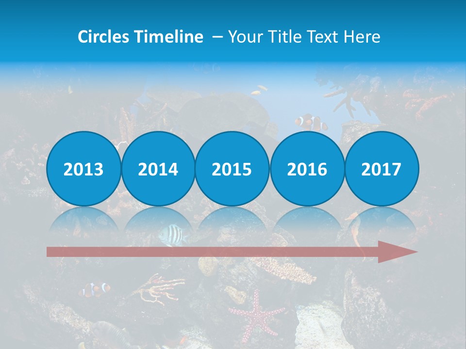 Fish Spices Algae PowerPoint Template