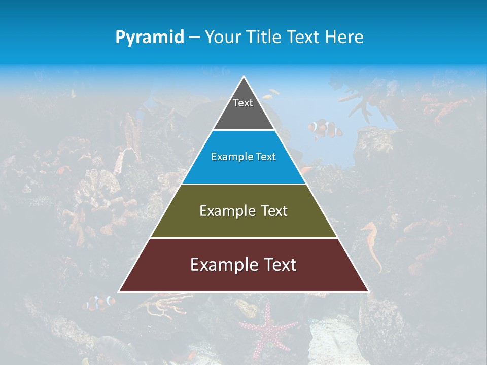 Fish Spices Algae PowerPoint Template