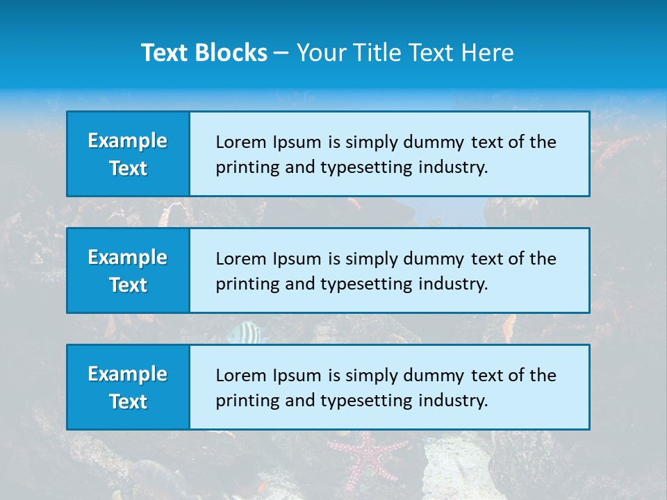 Fish Spices Algae PowerPoint Template