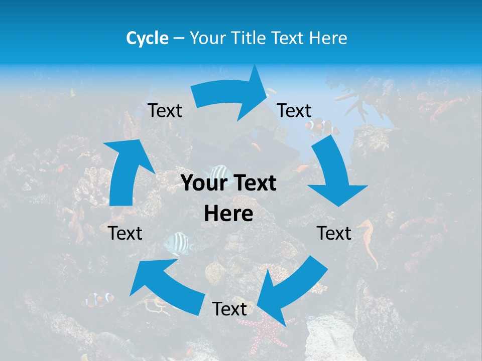 Fish Spices Algae PowerPoint Template