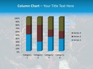 Fish Spices Algae PowerPoint Template