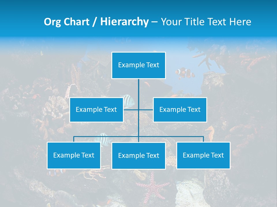 Fish Spices Algae PowerPoint Template