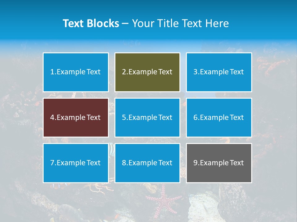 Fish Spices Algae PowerPoint Template