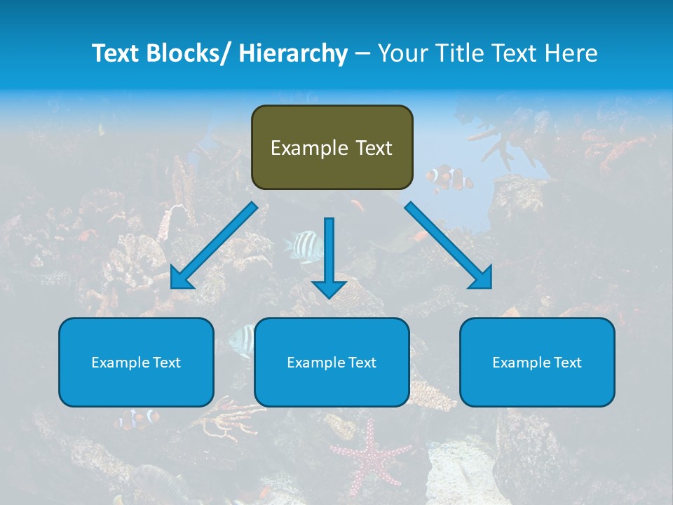 Fish Spices Algae PowerPoint Template
