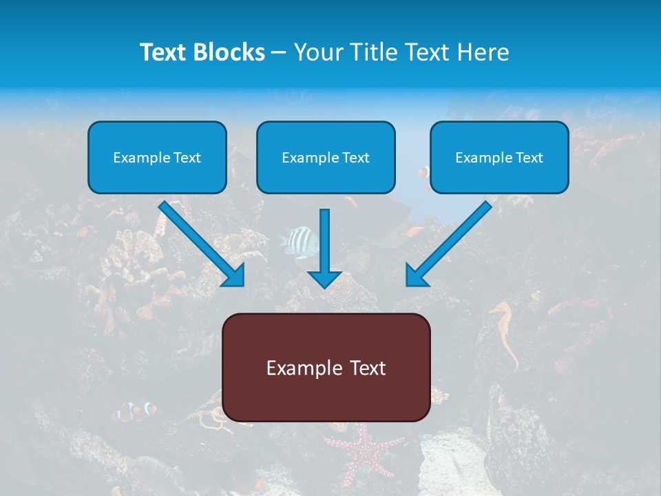 Fish Spices Algae PowerPoint Template