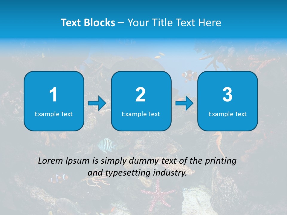 Fish Spices Algae PowerPoint Template