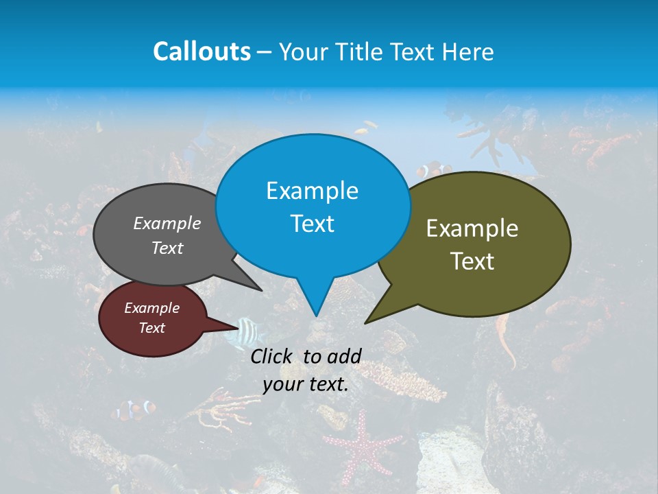 Fish Spices Algae PowerPoint Template