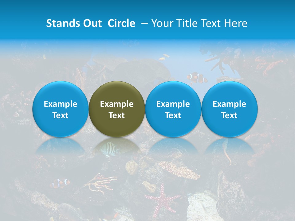 Fish Spices Algae PowerPoint Template