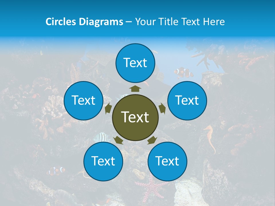 Fish Spices Algae PowerPoint Template