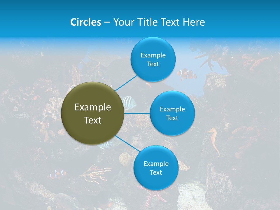 Fish Spices Algae PowerPoint Template