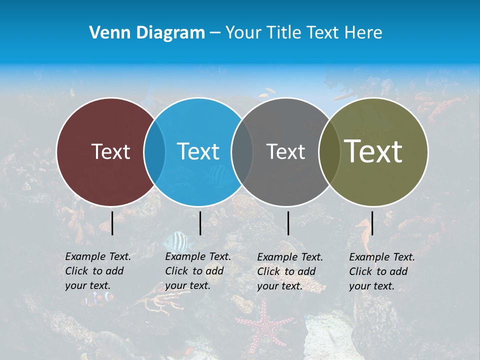 Fish Spices Algae PowerPoint Template