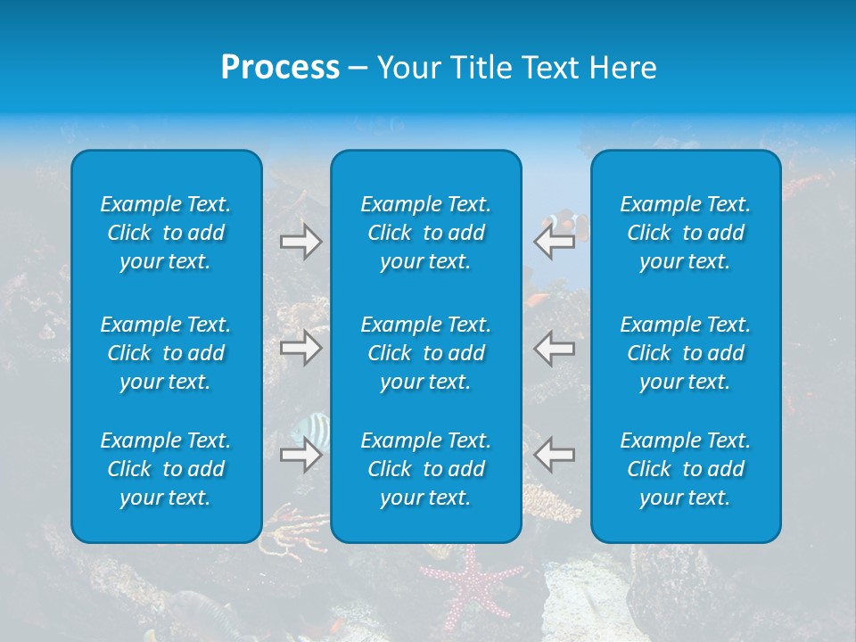 Fish Spices Algae PowerPoint Template