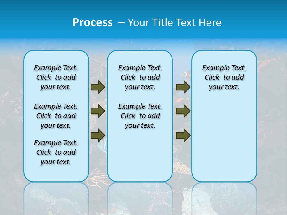 Fish Spices Algae PowerPoint Template