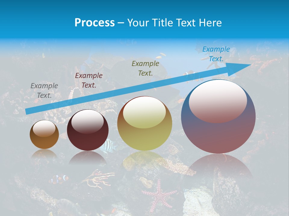 Fish Spices Algae PowerPoint Template