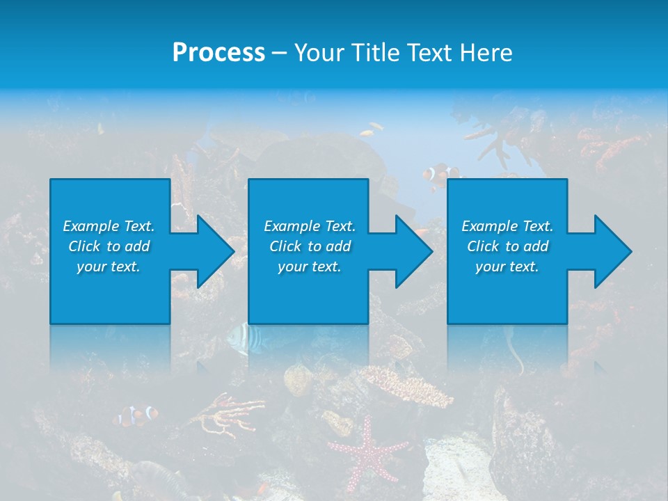 Fish Spices Algae PowerPoint Template