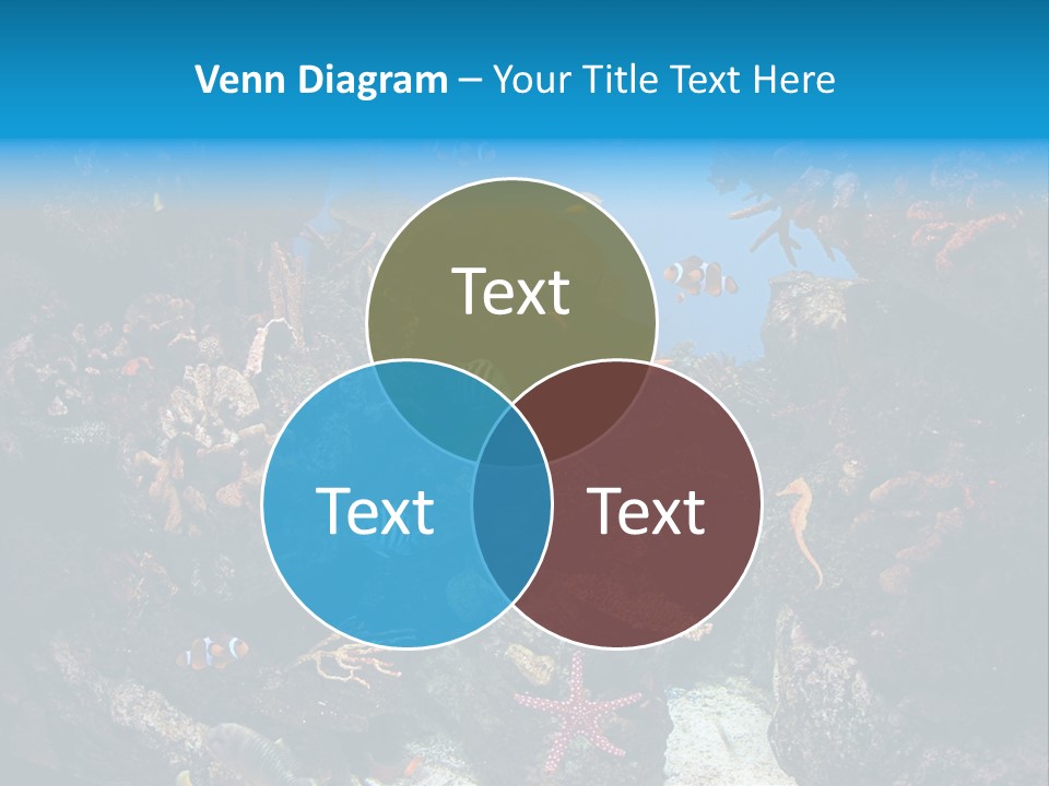 Fish Spices Algae PowerPoint Template