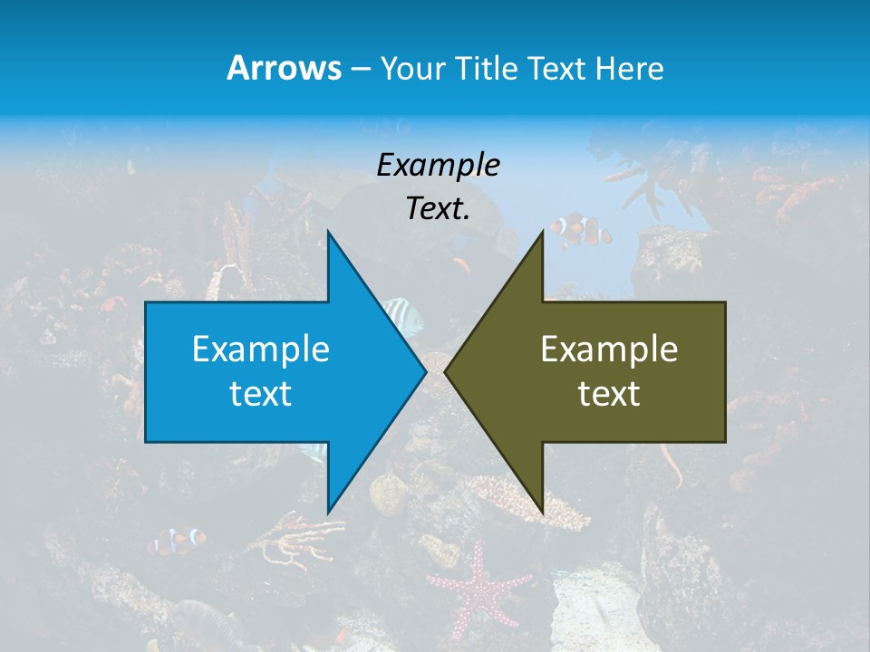 Fish Spices Algae PowerPoint Template