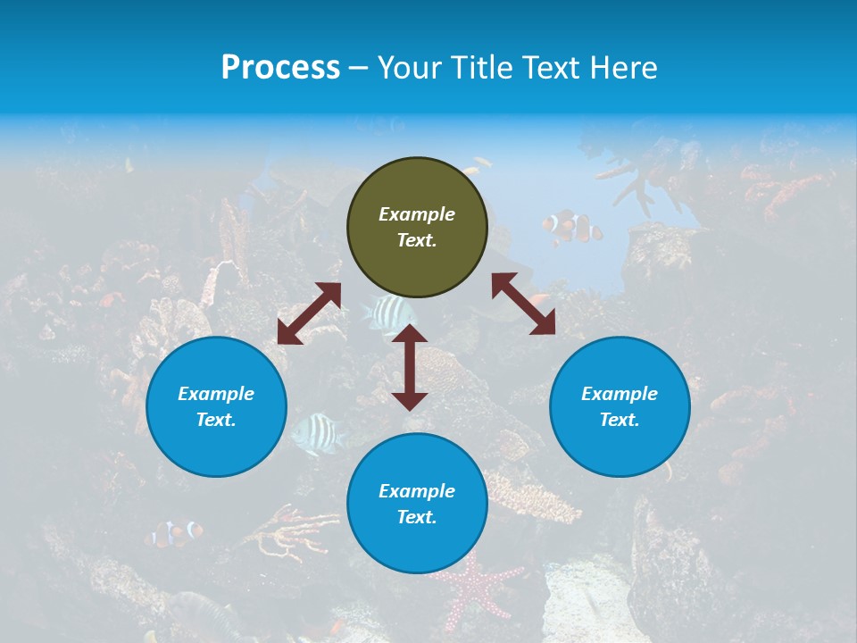 Fish Spices Algae PowerPoint Template