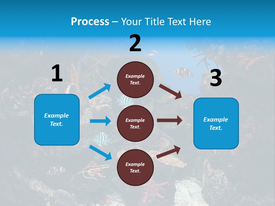 Fish Spices Algae PowerPoint Template