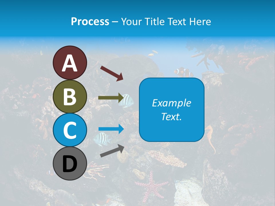 Fish Spices Algae PowerPoint Template