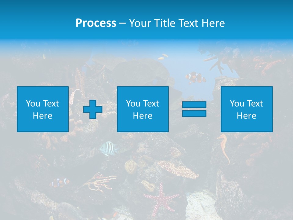 Fish Spices Algae PowerPoint Template