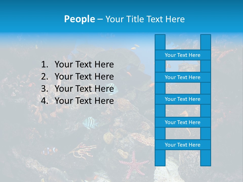 Fish Spices Algae PowerPoint Template