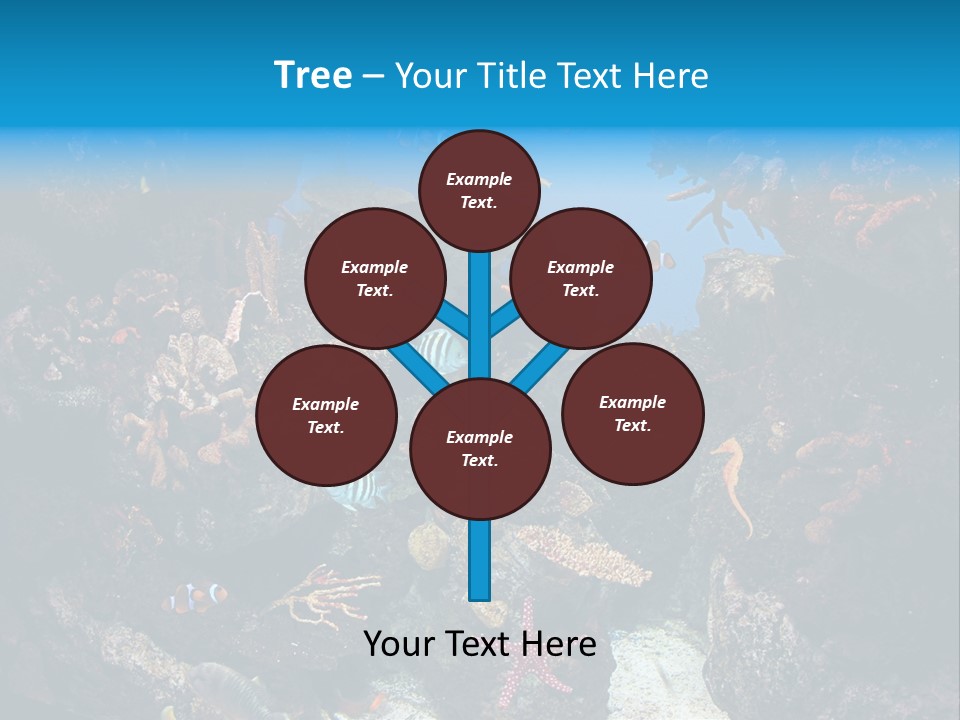 Fish Spices Algae PowerPoint Template