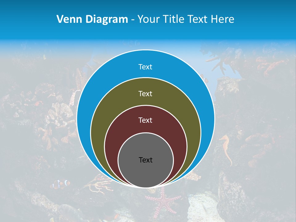 Fish Spices Algae PowerPoint Template