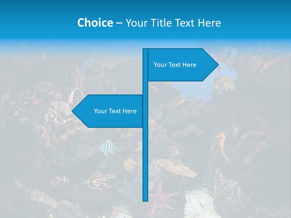 Fish Spices Algae PowerPoint Template