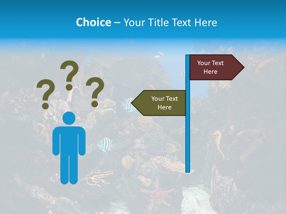 Fish Spices Algae PowerPoint Template