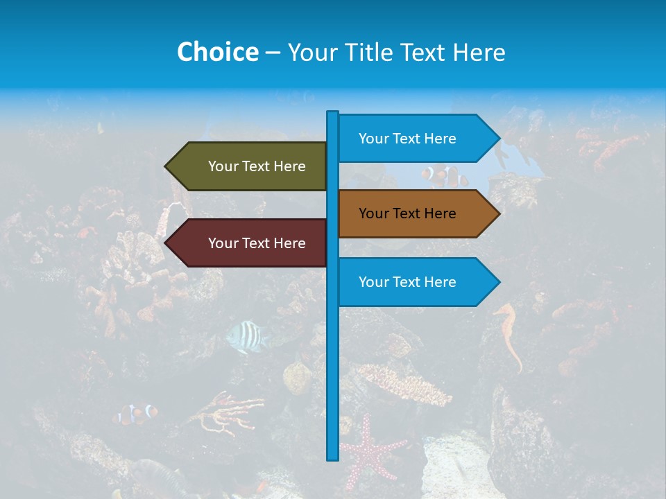 Fish Spices Algae PowerPoint Template