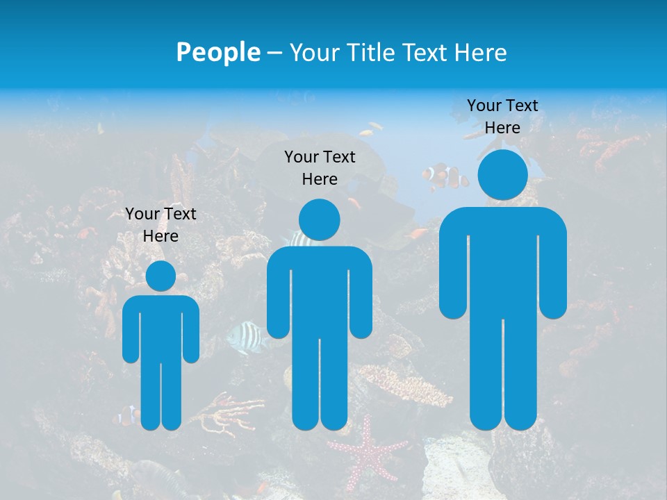 Fish Spices Algae PowerPoint Template