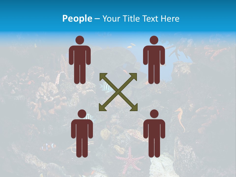 Fish Spices Algae PowerPoint Template