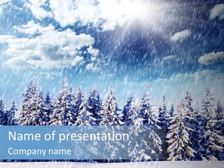 Weather Fir Hoarfrost PowerPoint Template