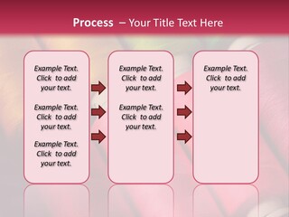 Material Fiber Bobbin PowerPoint Template