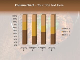 Stainless Hot Curry PowerPoint Template