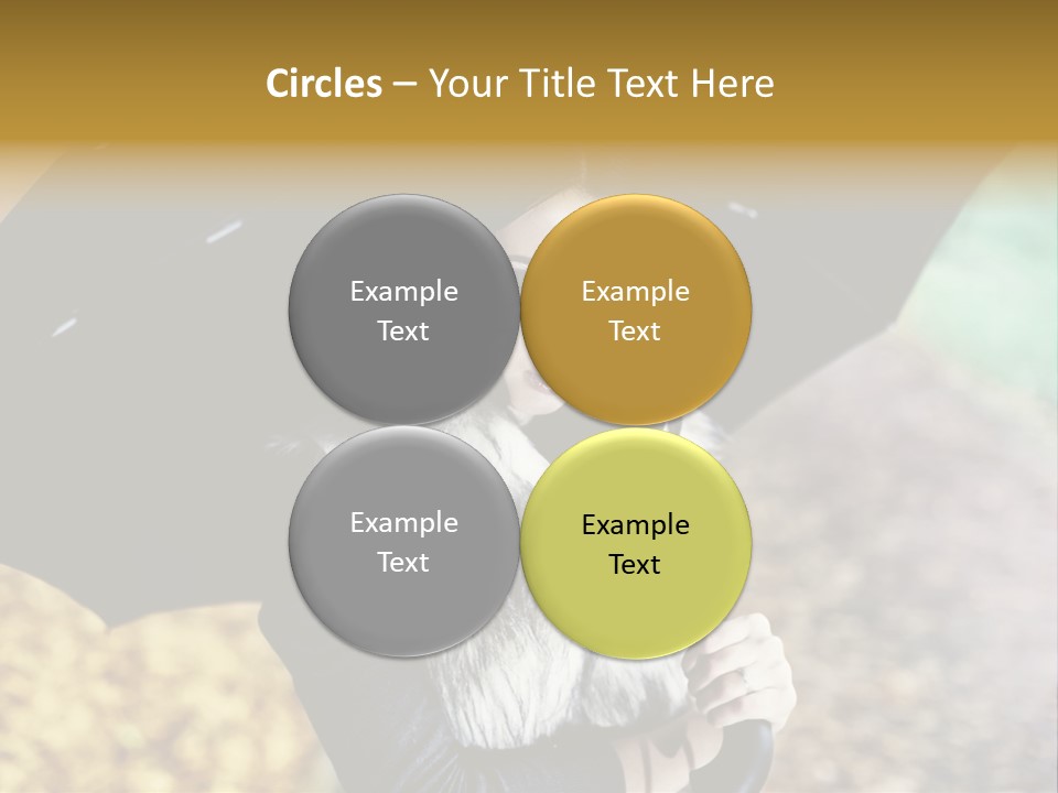 Hair Grass Sweater PowerPoint Template